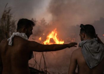 Incendios forestales en Grecia desatan miedo y enojo entre los ciudadanos