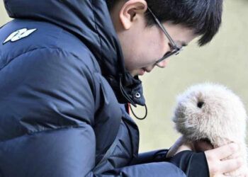 Jóvenes chinos encuentran consuelo en mascotas con IA
