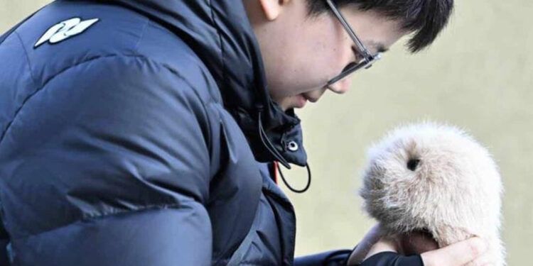 Jóvenes chinos encuentran consuelo en mascotas con IA