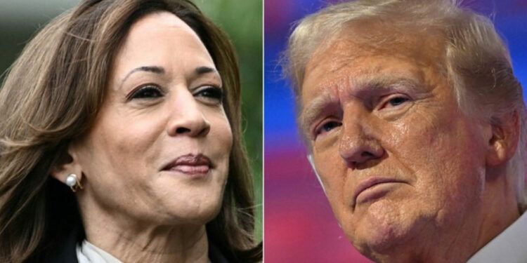 Kamala Harris lanza campaña publicitaria contra Trump por el aborto