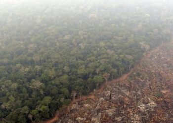 La Amazonía pierde superficie equivalente al tamaño de Colombia