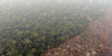 La Amazonía pierde superficie equivalente al tamaño de Colombia