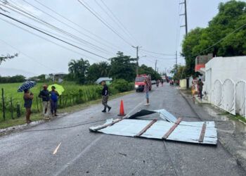Lluvias y vientos derriban árboles y letreros en Imbert y Luperón