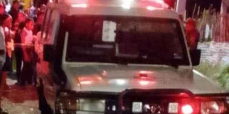 Madre e hijos graves tras ataque de agente de la DNCD en Baní