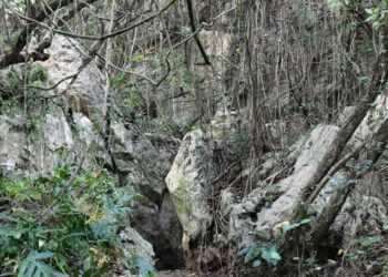 Medio Ambiente confirma daños en las Cuevas del Pomier por minería