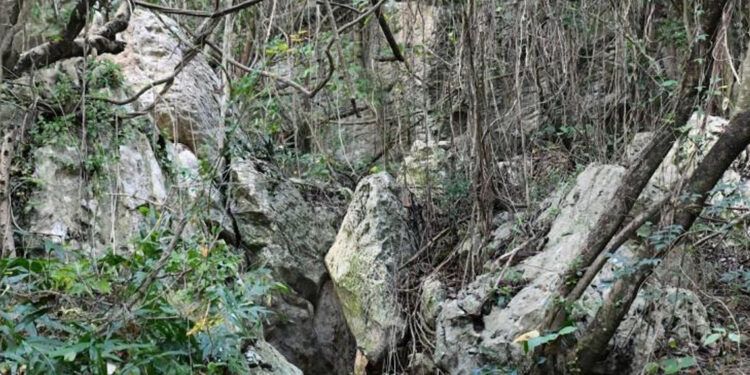 Medio Ambiente confirma daños en las Cuevas del Pomier por minería