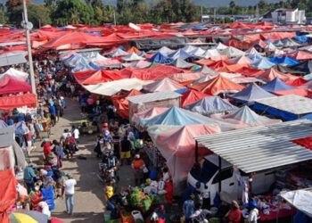 Mercado de la Pulga impulsa economía informal en Santiago