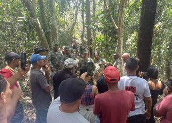Motosierristas de Barrick Gold talan árboles en Zambrana bajo resguardo militar