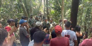 Motosierristas de Barrick Gold talan árboles en Zambrana bajo resguardo militar