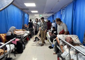 MSF se retira del norte de gaza por presión militar