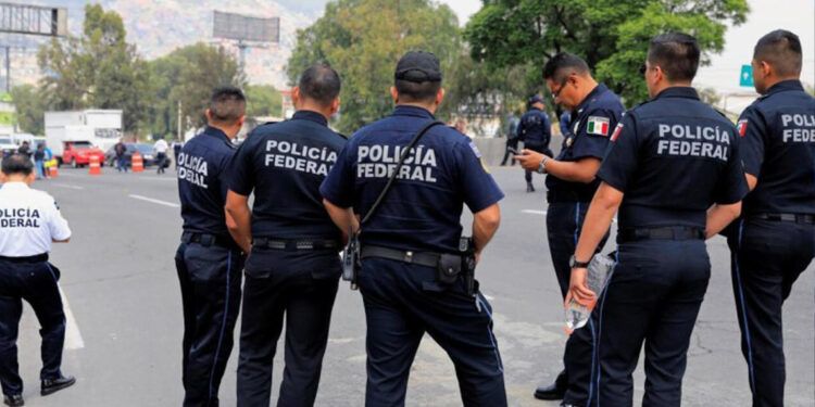 Mueren 12 presuntos delincuentes en enfrentamiento con policía en México