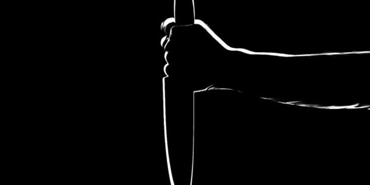 Niña de 12 años apuñala a su madre y padrastro