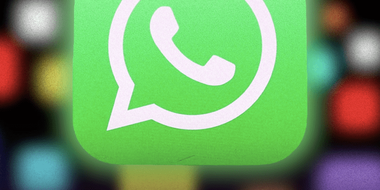 noticias-n24h-abre-su-propio-canal-de-whatsapp