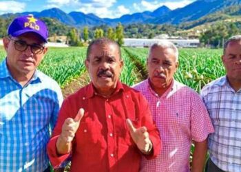 PLD exige al Gobierno pagar deuda a productores de ajo