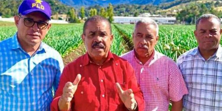 PLD exige al Gobierno pagar deuda a productores de ajo