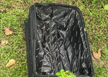 PN esclarece muerte de profesora jubilada hallada en Haina
