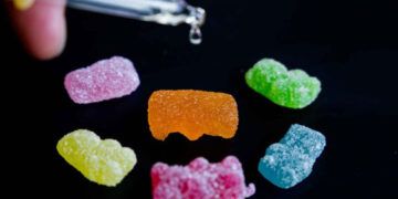 Presentan protocolo ante sospecha de consumo de drogas en escuelas