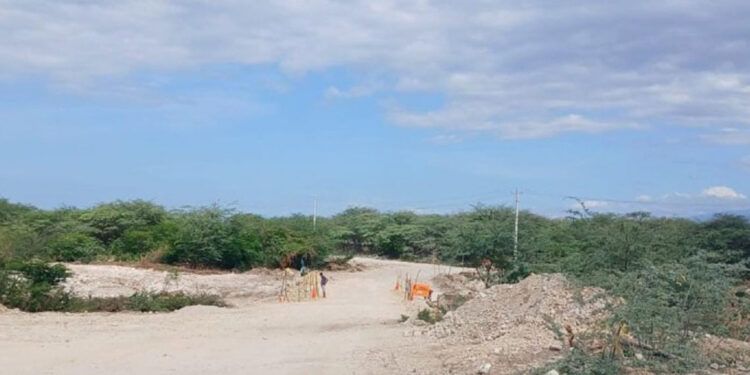 Productores piden apoyo tras daños por lluvias en Independencia