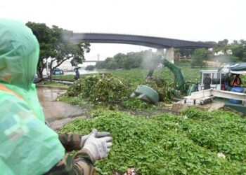 Puente Flotante cerrado por basura y lilas tras paso de tormenta Melissa