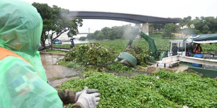Puente Flotante cerrado por basura y lilas tras paso de tormenta Melissa