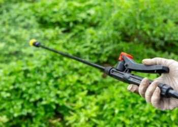 Reportan 56 casos de intoxicación por plaguicidas en 2024