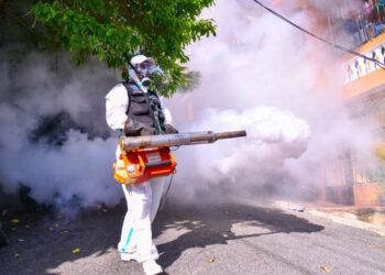 República Dominicana registra 31 casos de dengue