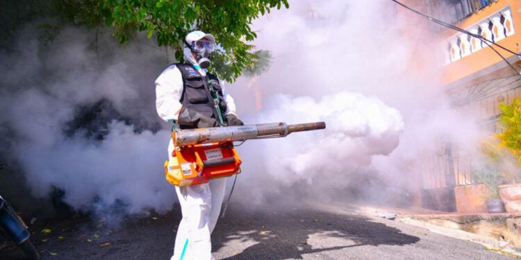 República Dominicana registra 31 casos de dengue