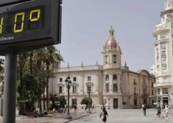 OMS alerta: olas de calor provocan más de 540,000 muertes al año