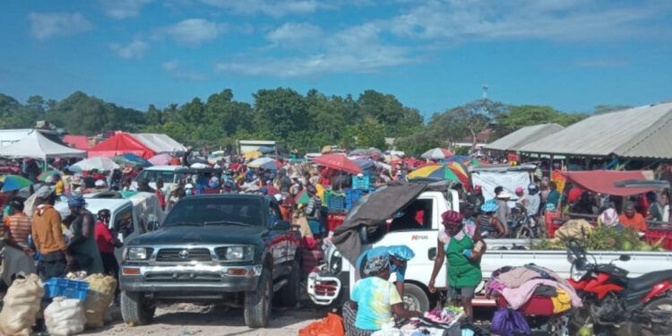 Se reactiva mercado fronterizo entre Dominicana y Haití