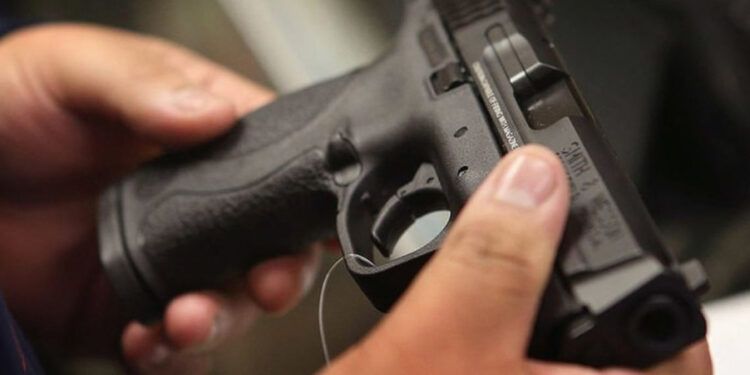 Senado aprueba extender a dos años licencia de armas