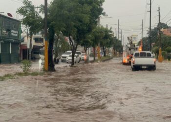 Senadores apoyarían declarar estado de emergencia si el Gobierno lo solicita