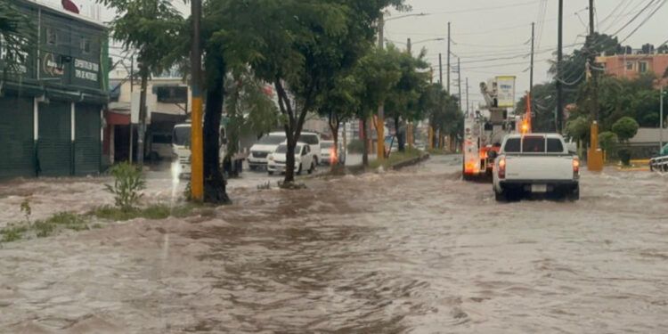 Senadores apoyarían declarar estado de emergencia si el Gobierno lo solicita