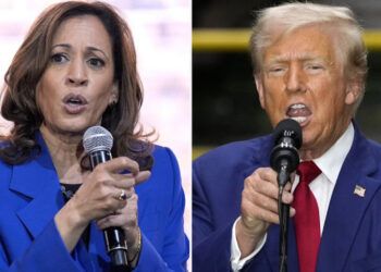 Siete estados clave podrían decidir las elecciones en EE.UU.