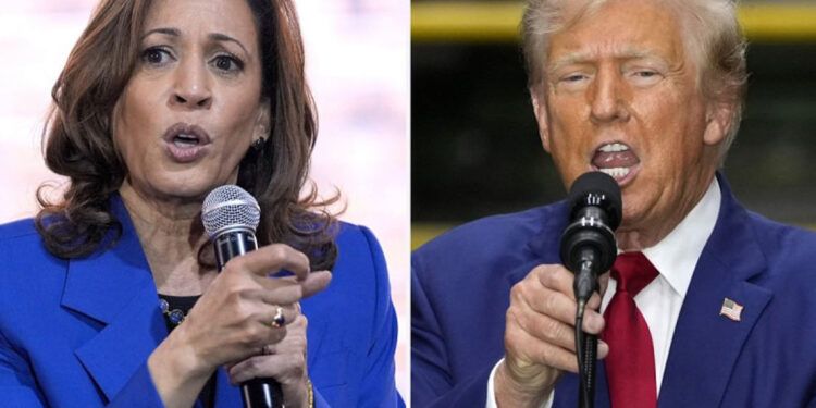 Siete estados clave podrían decidir las elecciones en EE.UU.