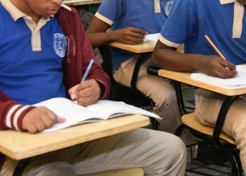 Solo 15 de cada 100 estudiantes ingresan a la universidad