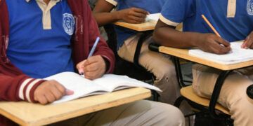 Solo 15 de cada 100 estudiantes ingresan a la universidad