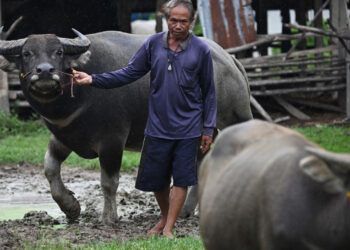 Tailandia y Camboya se reunirán para negociar tregua fronteriza