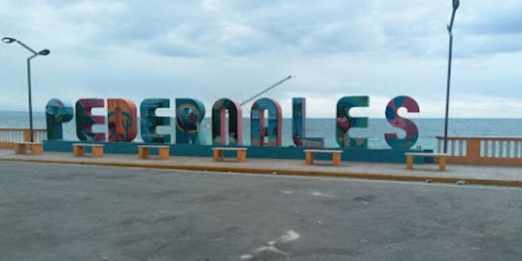 Temblor en Haití causa pánico en Pedernales