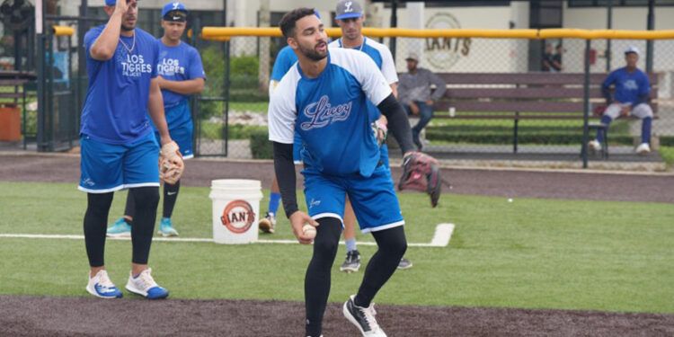 Tigres del Licey reanudan entrenamientos tras pausa por tormenta Melissa