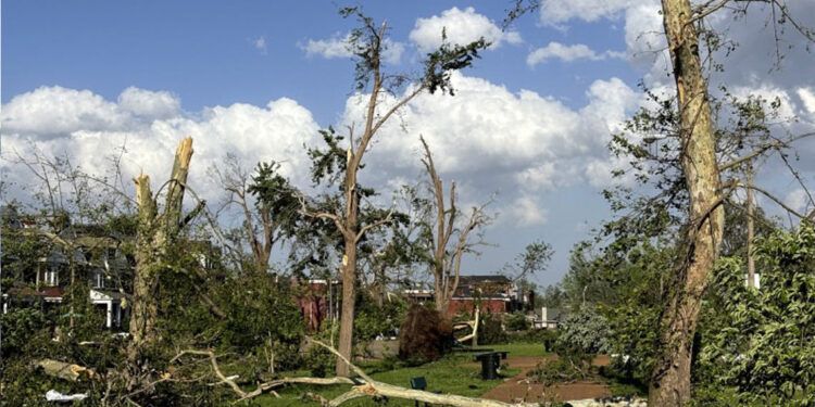 Tornados dejan más de 20 muertos en Misuri y Kentucky