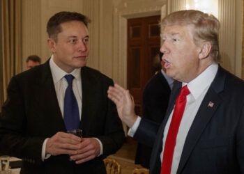 Trump designará a Elon Musk para auditar medidas del Gobierno si gana elecciones