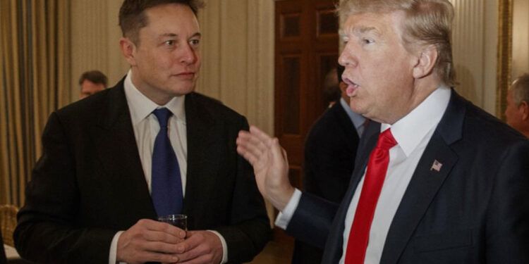 Trump designará a Elon Musk para auditar medidas del Gobierno si gana elecciones