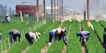 Trump frena expulsiones por presión del sector agrícola