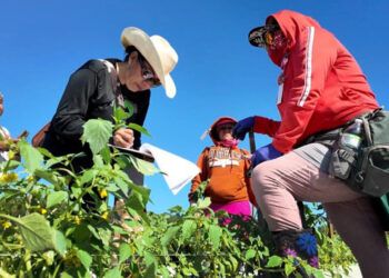 Trump propone reducir salarios a trabajadores agrícolas con visa H-2A