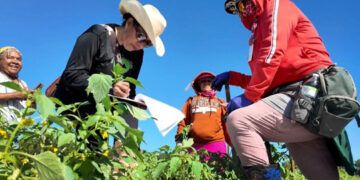 Trump propone reducir salarios a trabajadores agrícolas con visa H-2A
