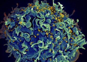 Unión Europea aprueba fármaco inyectable para prevenir el VIH