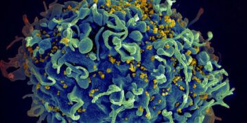 Unión Europea aprueba fármaco inyectable para prevenir el VIH