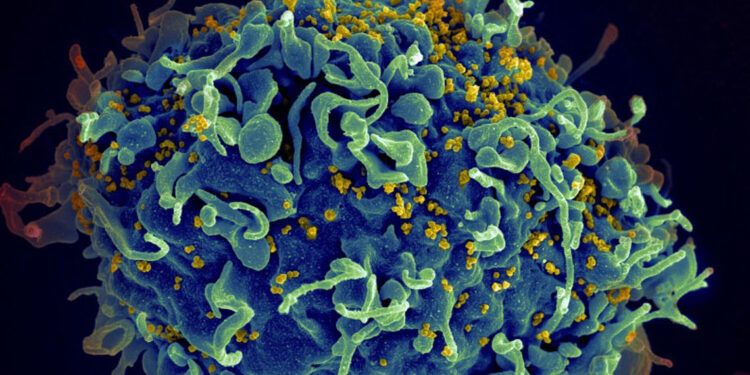 Unión Europea aprueba fármaco inyectable para prevenir el VIH