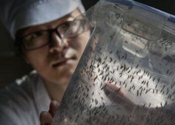 Virólogo alerta sobre prolongación de virus respiratorios y riesgo de dengue