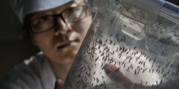 Virólogo alerta sobre prolongación de virus respiratorios y riesgo de dengue